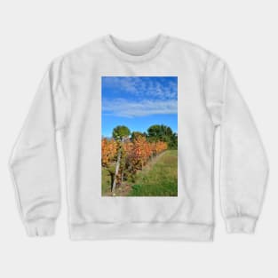 Autumnal Grape Vines Crewneck Sweatshirt